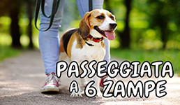 La passeggiata a sei zampe per la pet therapy ai bimbi di Pessano