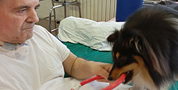 Frisee, Kalimba e Rodrigo, riabilitazione con Pet Therapy