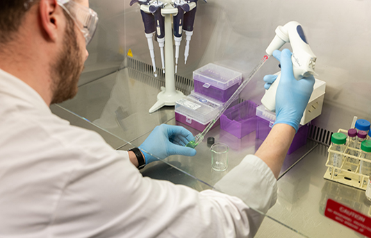 LE NUOVE LINEE GUIDA PER VALORIZZARE I RICERCATORI